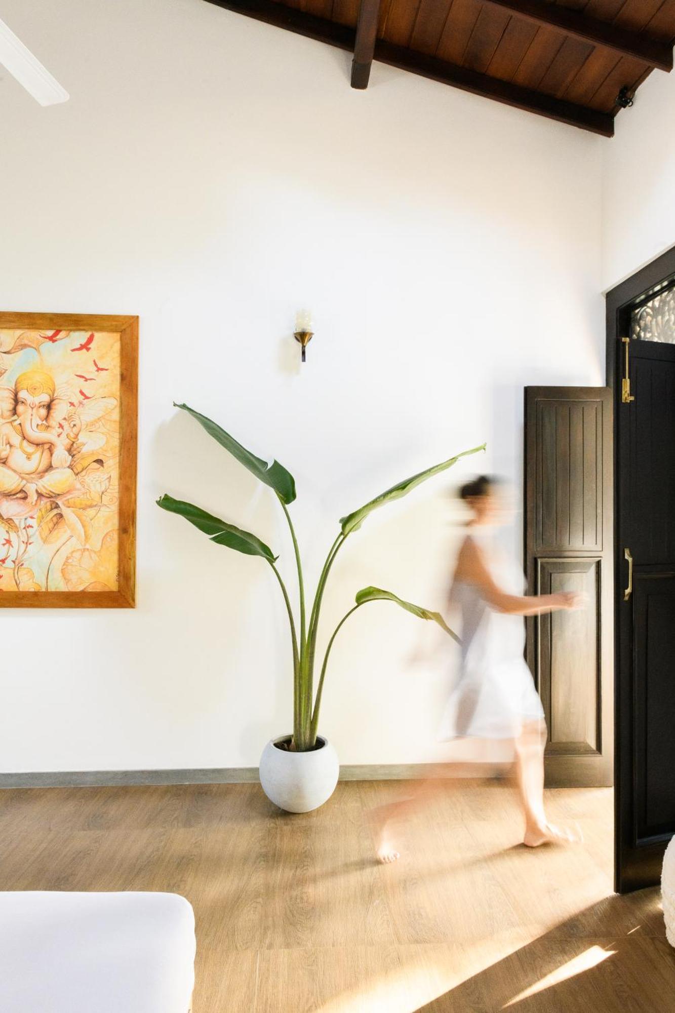 מלון אונה ואטונה Roots Retreat מראה חיצוני תמונה